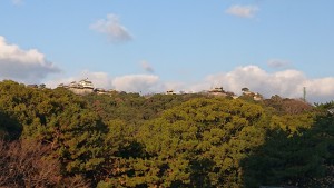 H31 久枝（松山城全望）